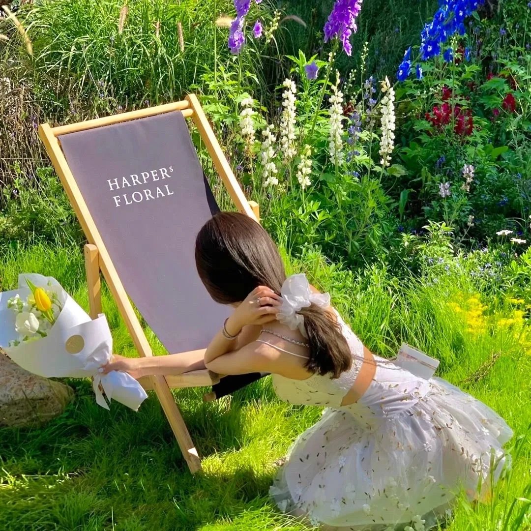 格列佛游记国语