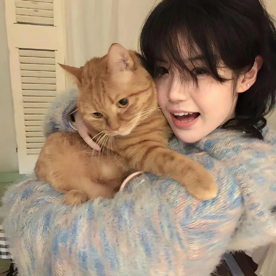 相亲相到腹黑皇帝（冷宫贵妃升职记）